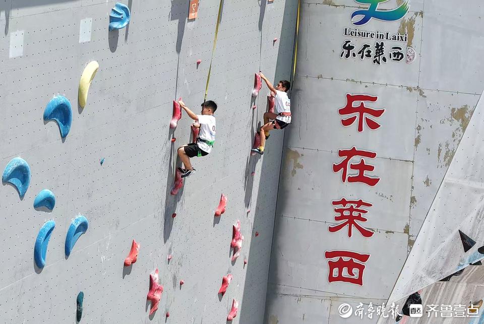 img, 培养输送的