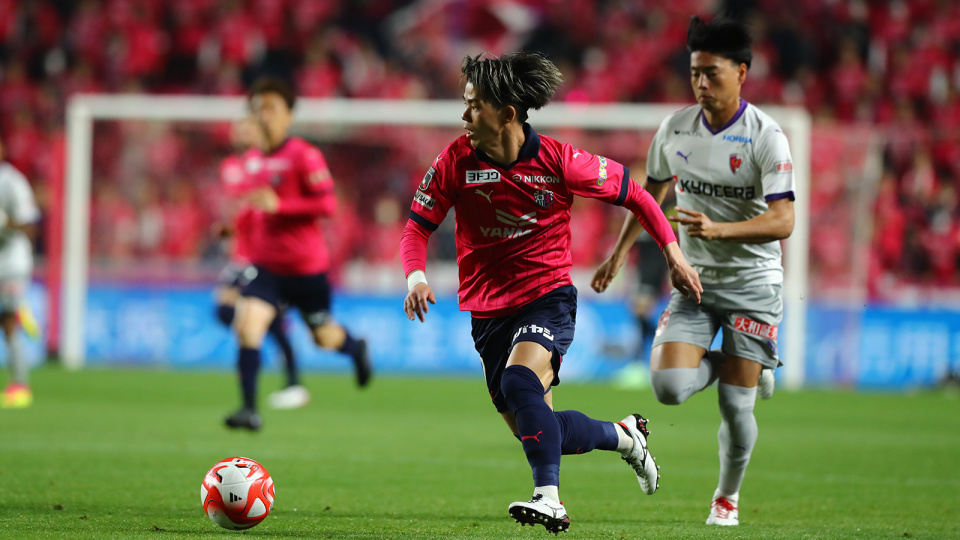 大阪樱花上 大阪樱花上